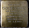 Ccilie Schwarz (1866 -   1943)